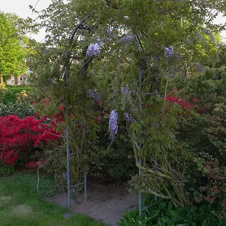 Hotel Restaurant Luetkebohmert 3*