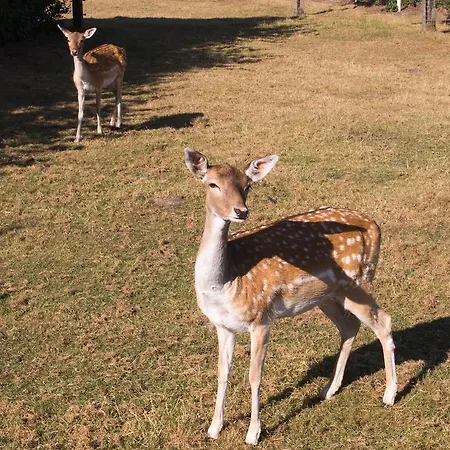 Hotel Restaurant Luetkebohmert