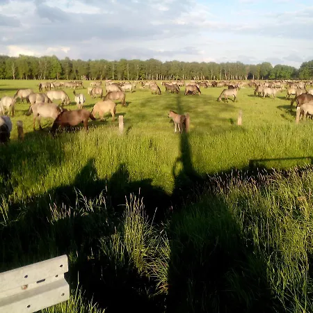 Restaurant Luetkebohmert