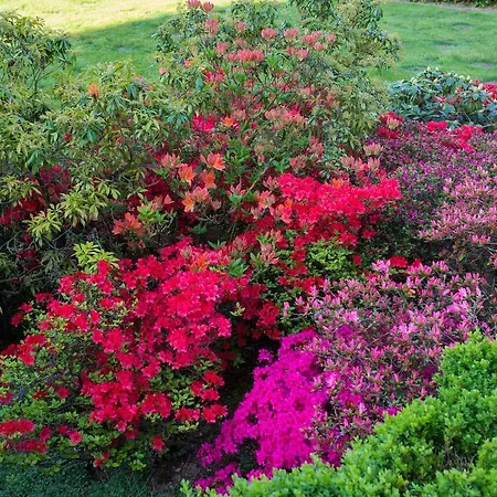 Restaurant Luetkebohmert Otel Reken