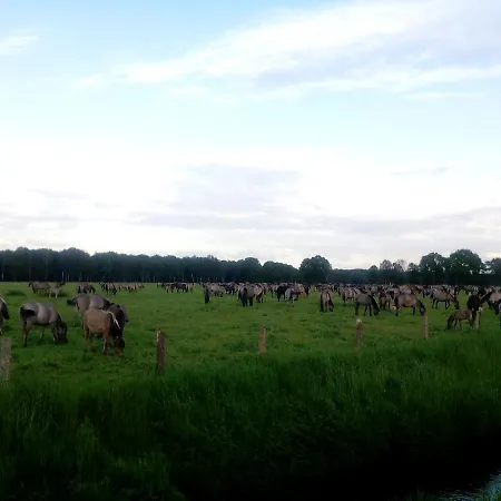 Restaurant Luetkebohmert Hotel Reken