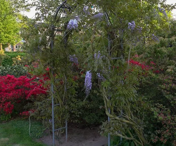 Hotel Restaurant Luetkebohmert 3*