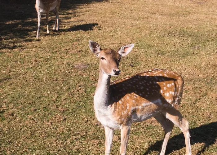 Hotel Restaurant Luetkebohmert