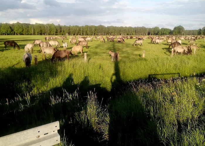Restaurant Luetkebohmert