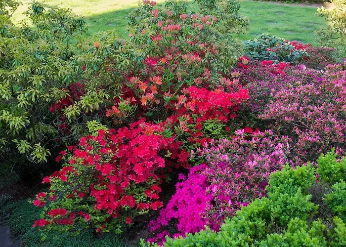 Restaurant Luetkebohmert Hotel Reken