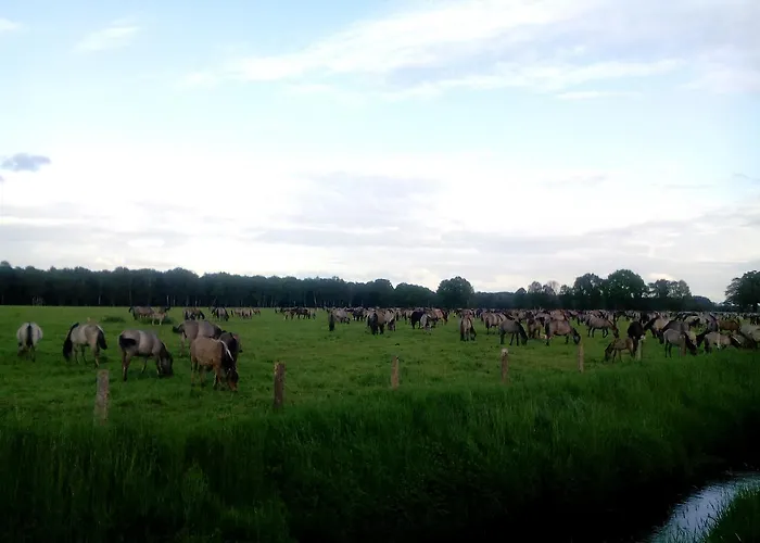 Restaurant Luetkebohmert Hotel Reken
